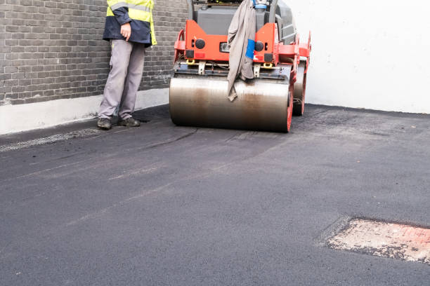 Best Driveway Border and Edging  in Lakeview, WA